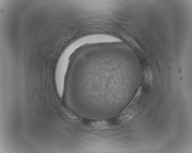 X0000070830517200607071745