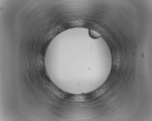 X0000070830518200607071745