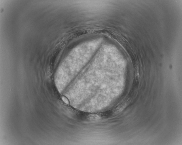 X0000070830519200607071745