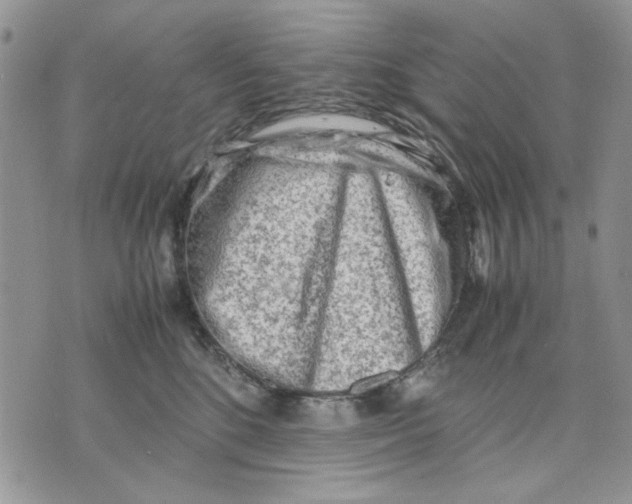 X0000070830520200607071745