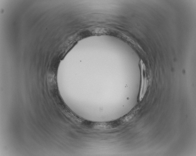 X0000070830521200607071745