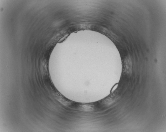 X0000070830522200607071745