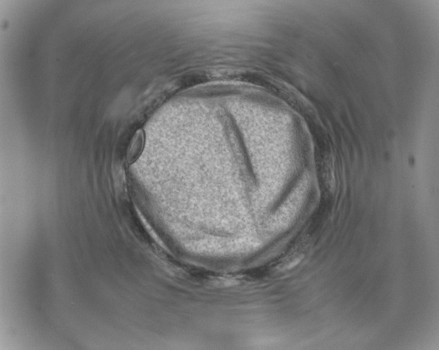 X0000070830523200607071745