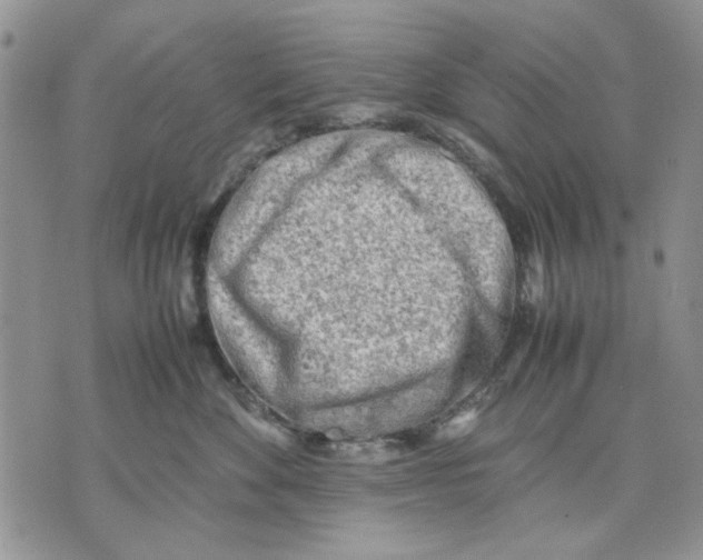 X0000070830524200607071745