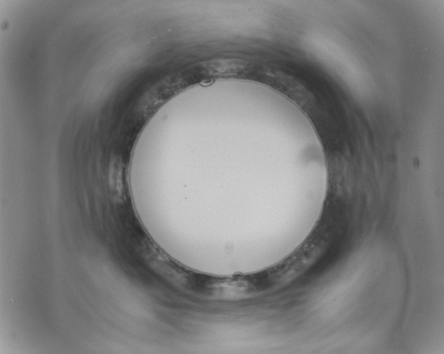 X0000070830525200607071745