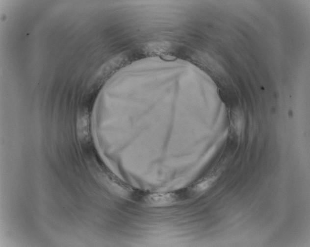 X0000070830526200607071745