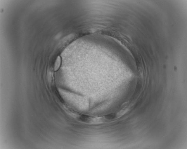 X0000070830527200607071744