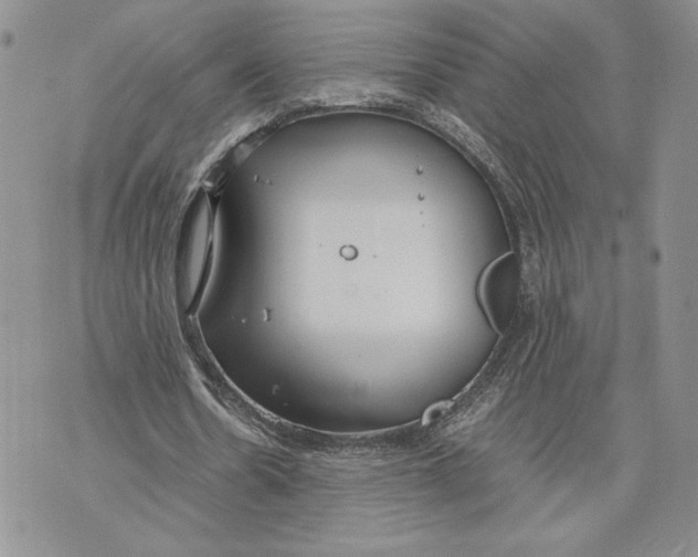 X0000070830530200607071744