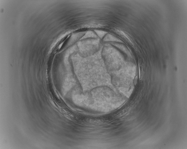 X0000070830531200607071744