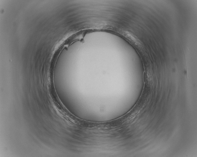 X0000070830532200607071744