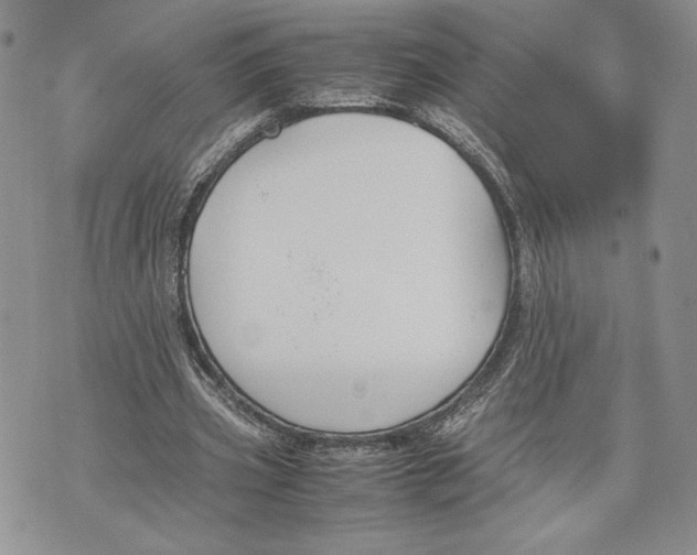 X0000070830533200607071744