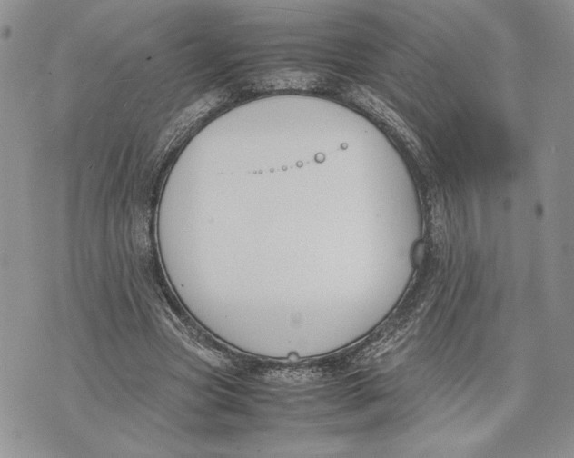 X0000070830537200607071744