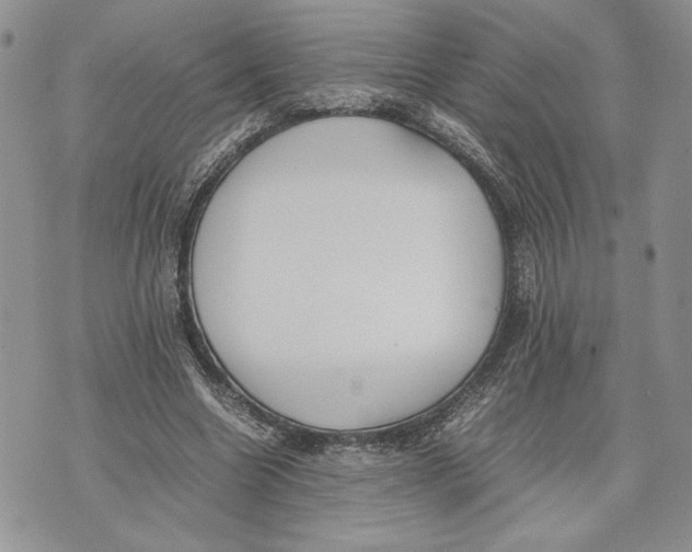 X0000070830538200607071744