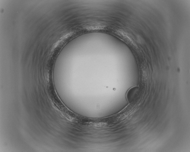 X0000070830539200607071744