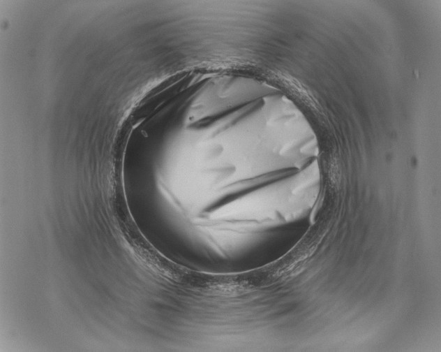 X0000070830540200607071744