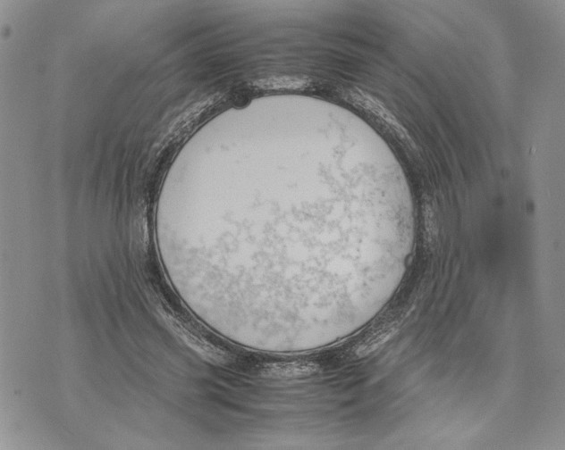 X0000070830541200607071744