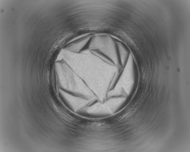 X0000070830542200607071744