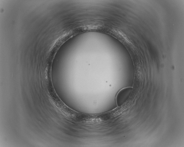 X0000070830543200607071744