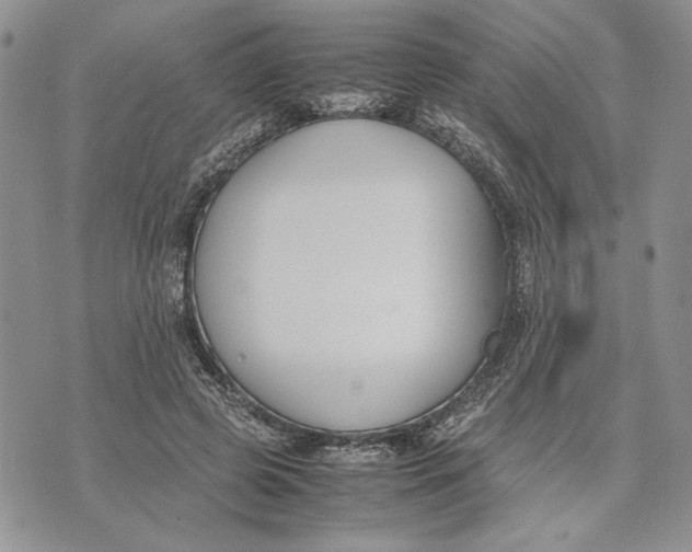 X0000070830545200607071744