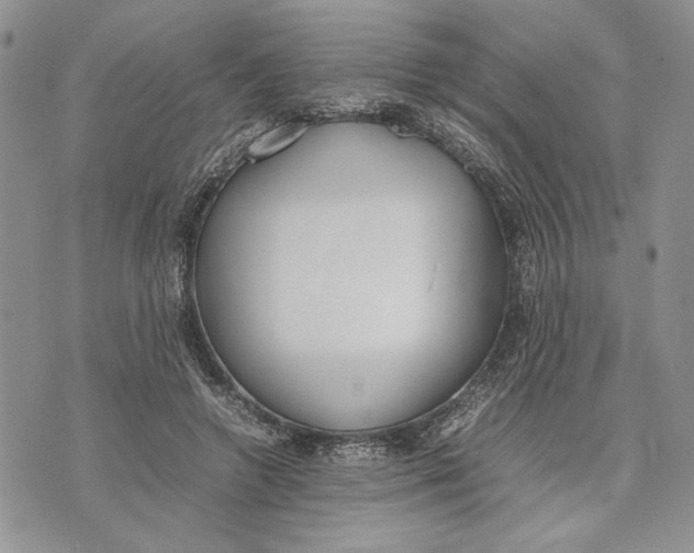 X0000070830546200607071744