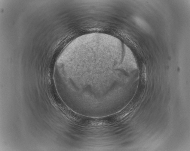 X0000070830547200607071744