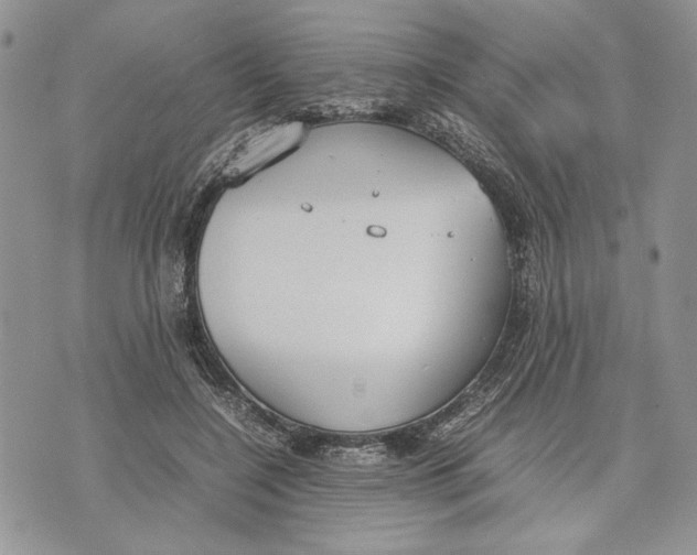 X0000070830548200607071744