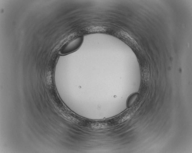 X0000070830549200607071744