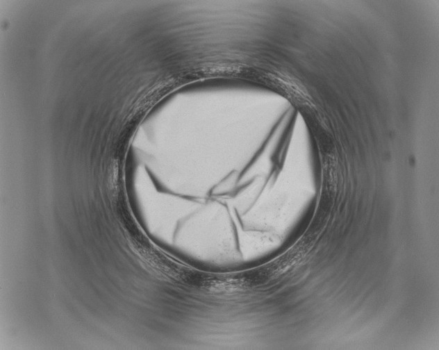 X0000070830550200607071744