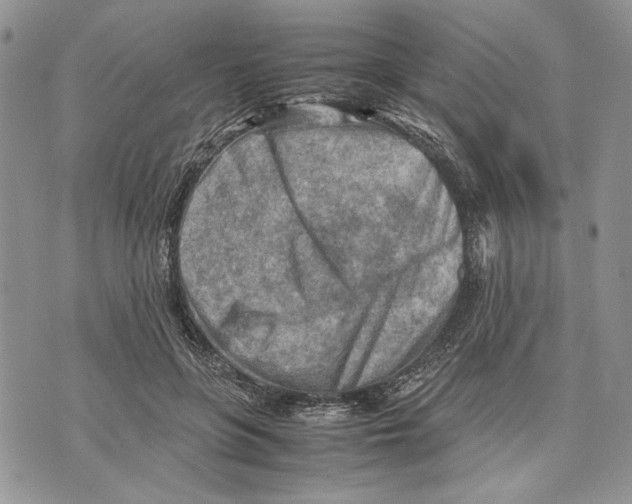 X0000070830551200607071744