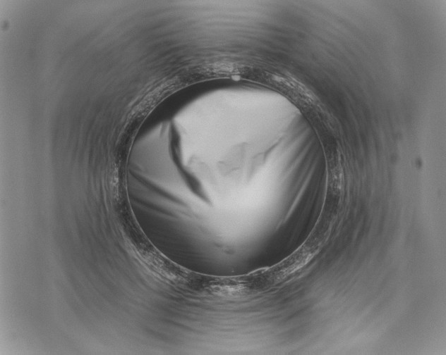 X0000070830552200607071744