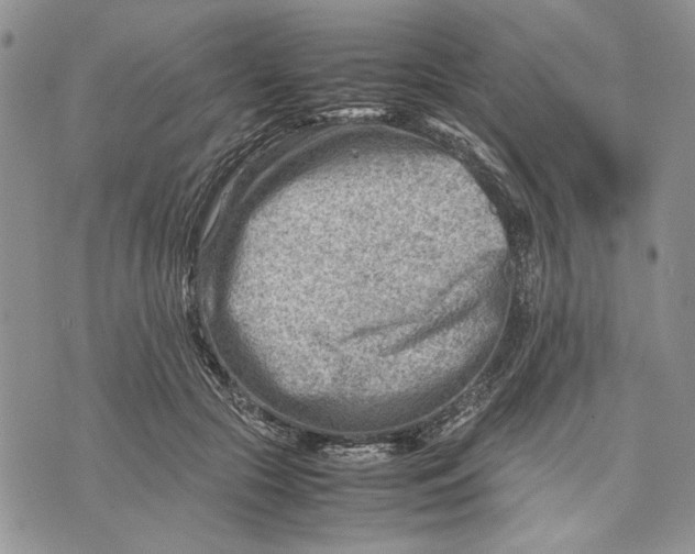 X0000070830553200607071744