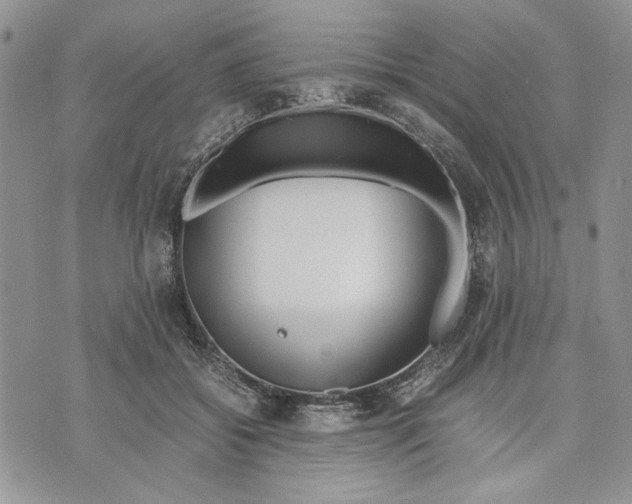 X0000070830556200607071744