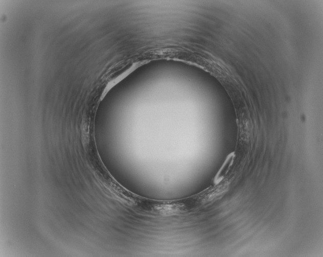 X0000070830558200607071744