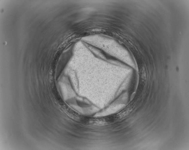 X0000070830559200607071744