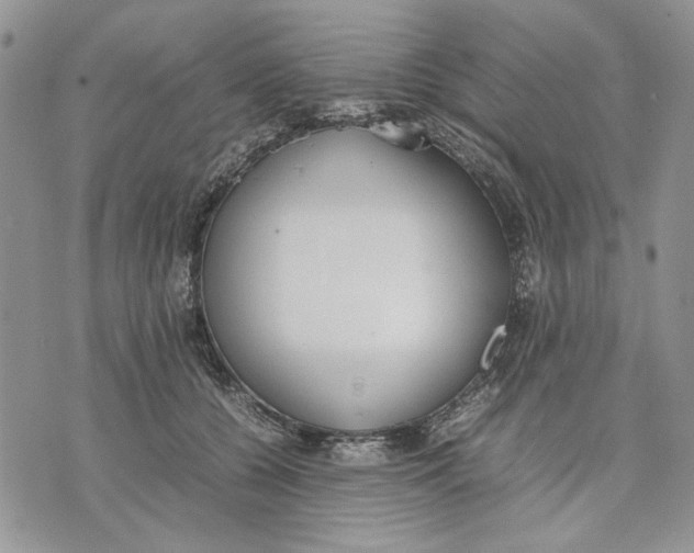 X0000070830560200607071744