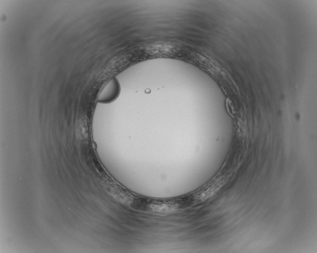 X0000070830561200607071744