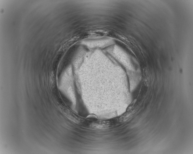 X0000070830563200607071744