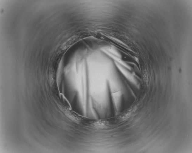 X0000070830566200607071744