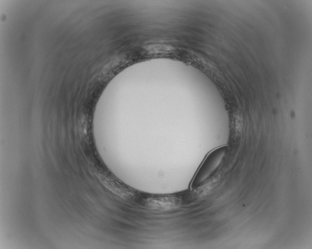 X0000070830567200607071744