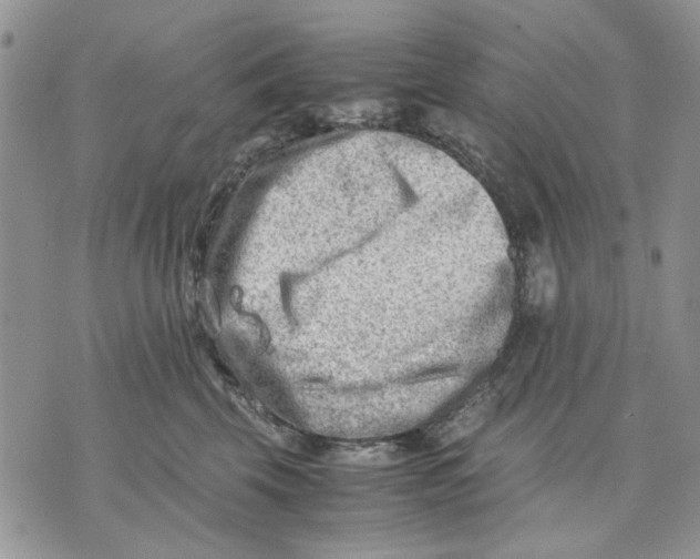 X0000070830569200607071744