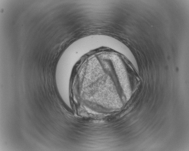 X0000070830570200607071744