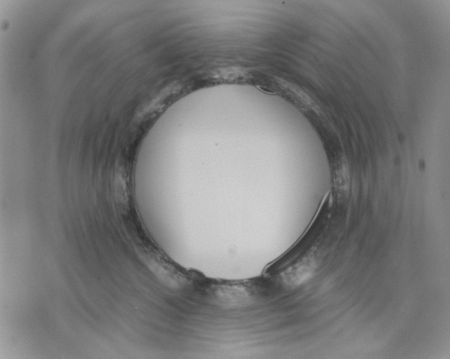 X0000070830572200607071744