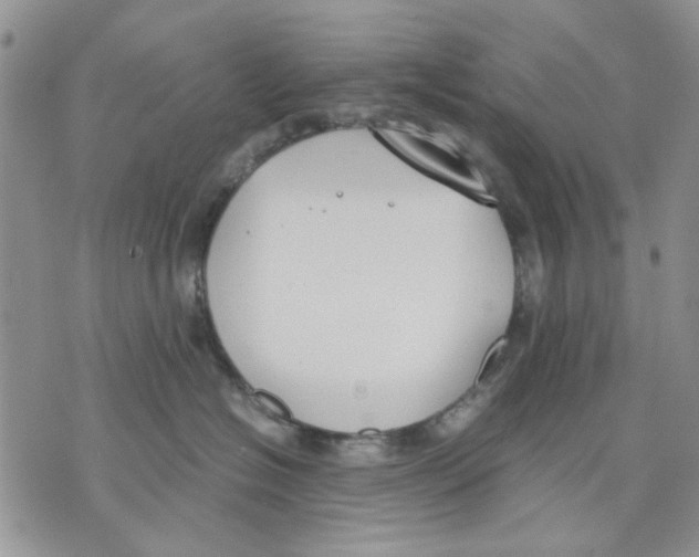 X0000070830574200607071744