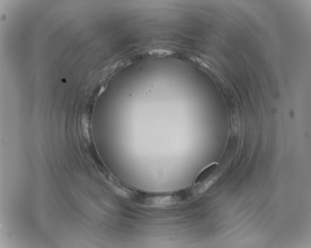 X0000070830575200607071744