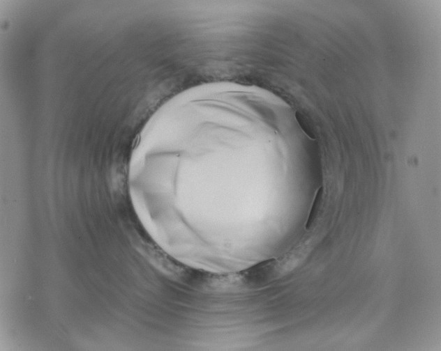 X0000070830576200607071744