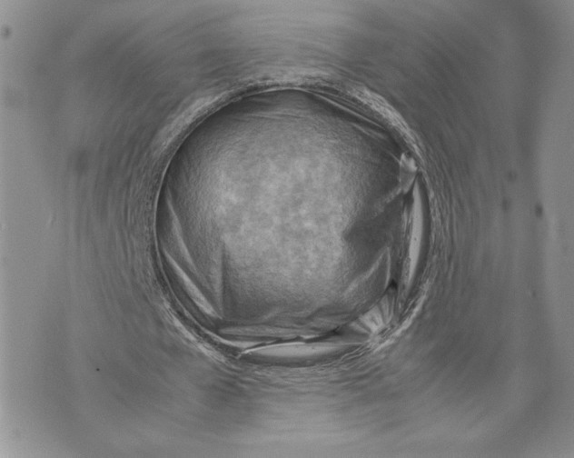 X0000070830577200607071744