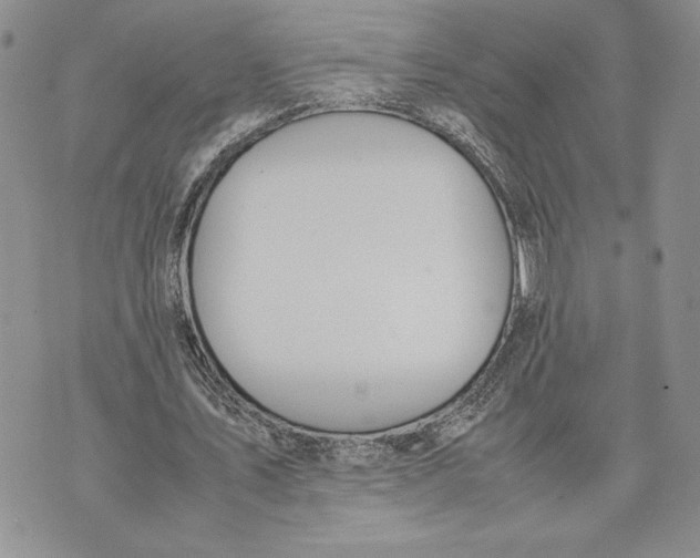 X0000070830579200607071744