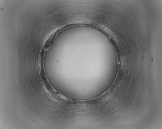 X0000070830580200607071744