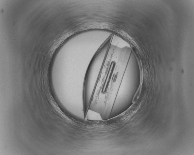 X0000070830581200607071744