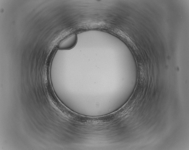 X0000070830582200607071744